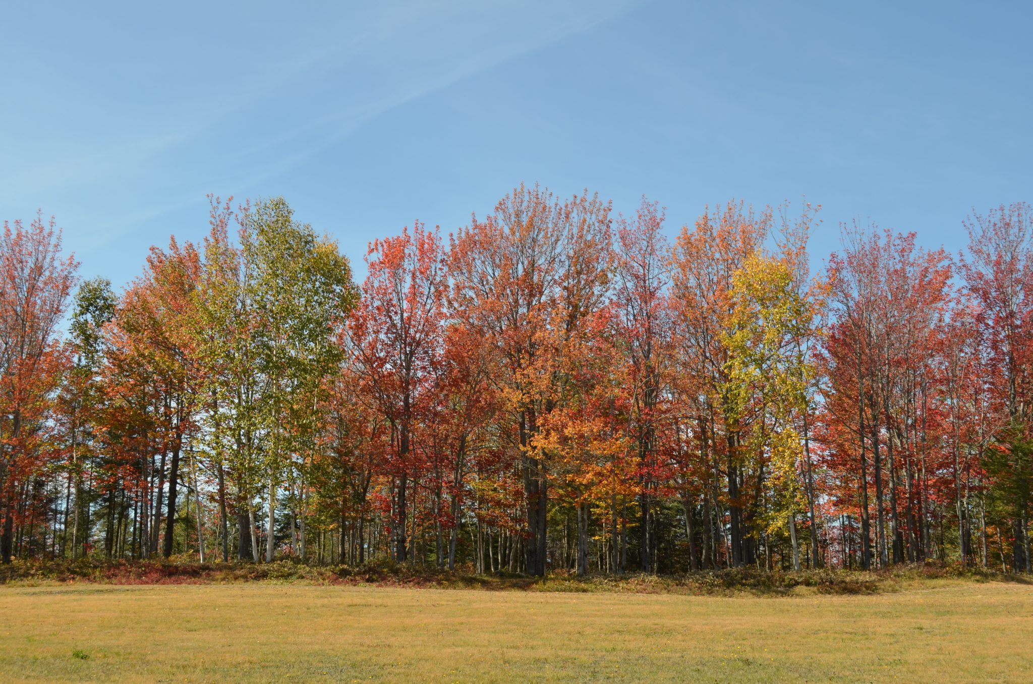 SainteHélènedeKamouraska